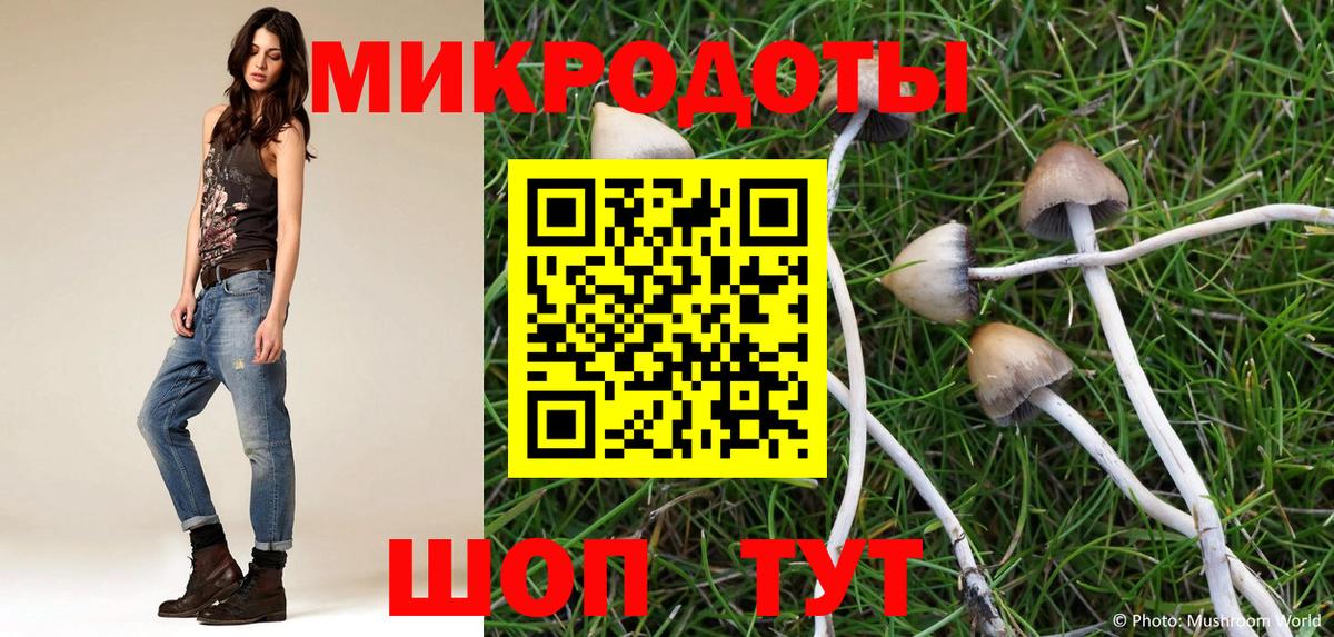 Псилоцибиновые грибы мицелий  Вход с VPN  Тула 