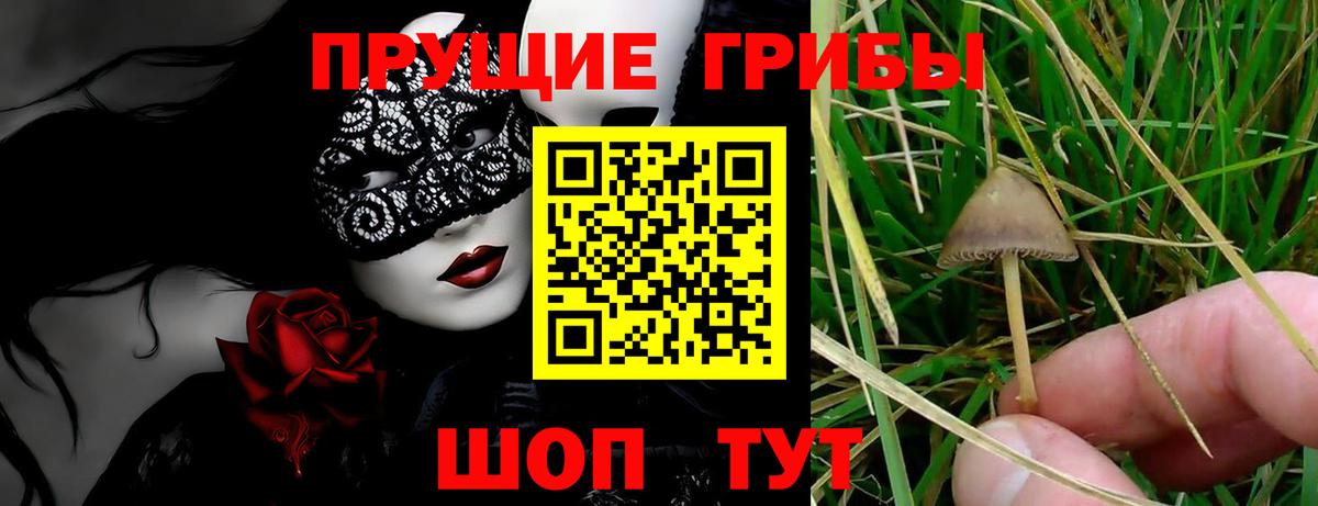 Галлюциногенные грибы MAGIC MUSHROOMS Тула